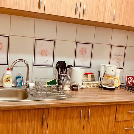 Ultracentral Apartment With All You Need: Wifi, Tv, Ac, Washer, Coffe Тимишоара Екстериор снимка