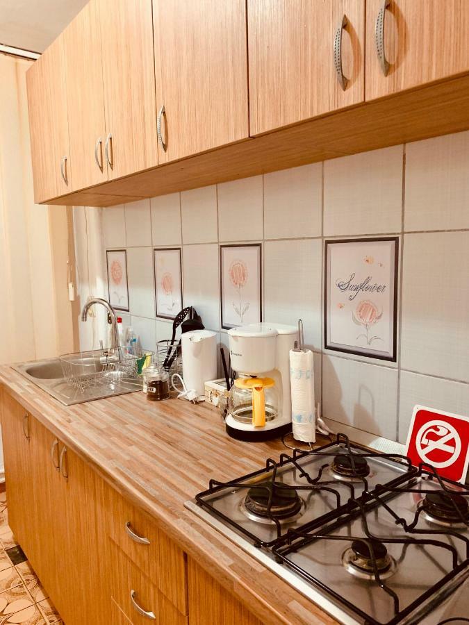 Ultracentral Apartment With All You Need: Wifi, Tv, Ac, Washer, Coffe Тимишоара Екстериор снимка
