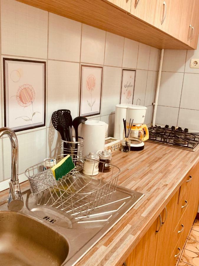 Ultracentral Apartment With All You Need: Wifi, Tv, Ac, Washer, Coffe Тимишоара Екстериор снимка