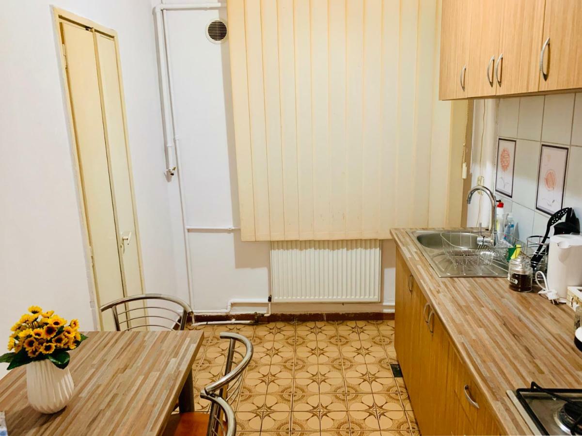 Ultracentral Apartment With All You Need: Wifi, Tv, Ac, Washer, Coffe Тимишоара Екстериор снимка