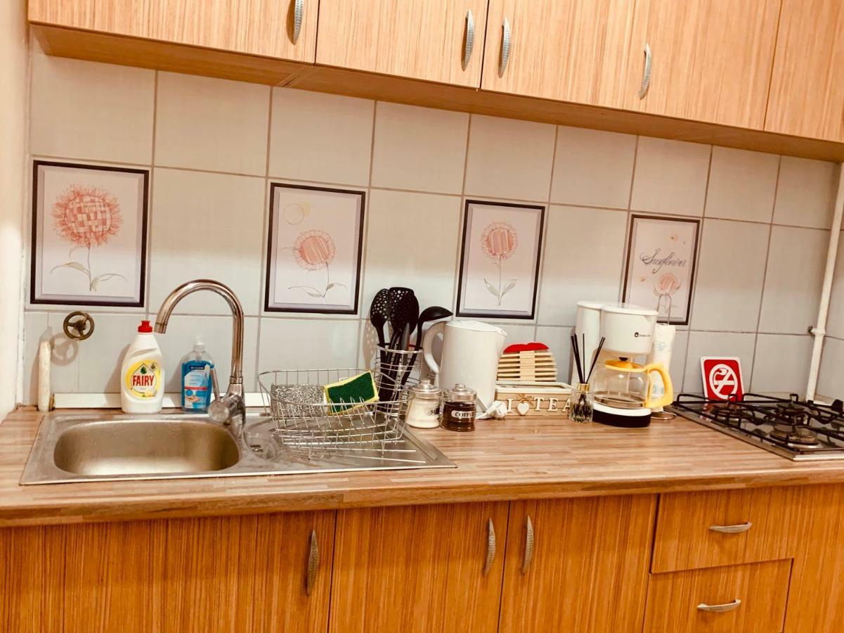 Ultracentral Apartment With All You Need: Wifi, Tv, Ac, Washer, Coffe Тимишоара Екстериор снимка