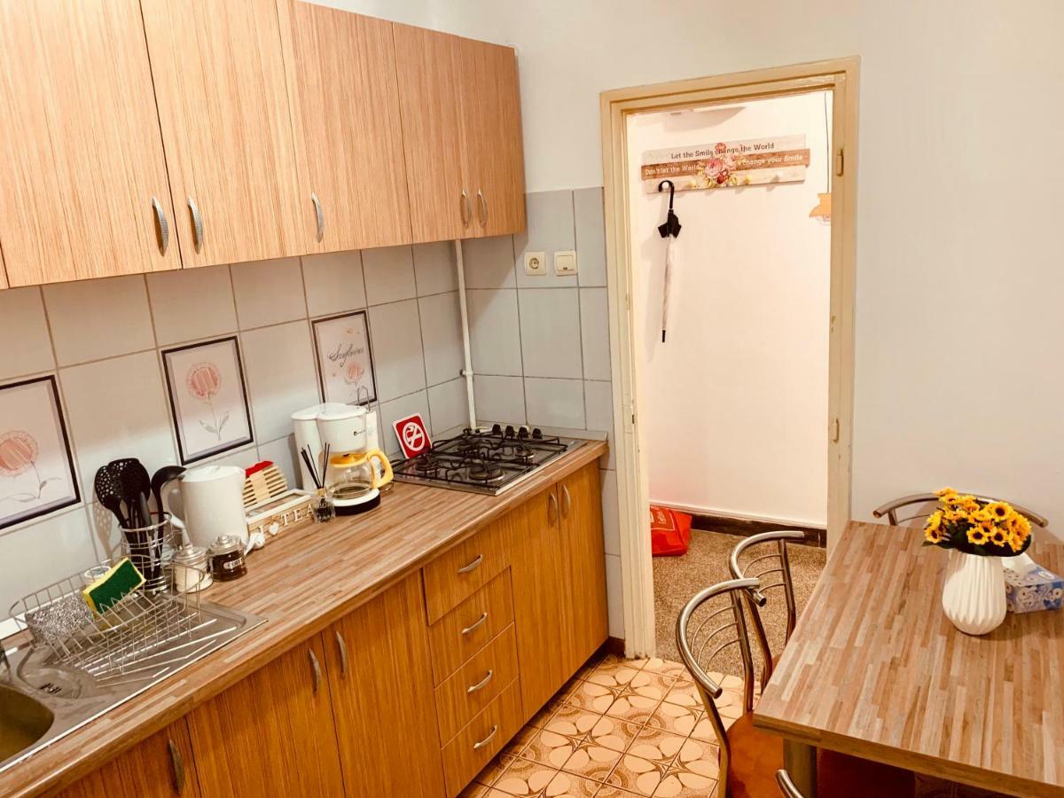 Ultracentral Apartment With All You Need: Wifi, Tv, Ac, Washer, Coffe Тимишоара Екстериор снимка